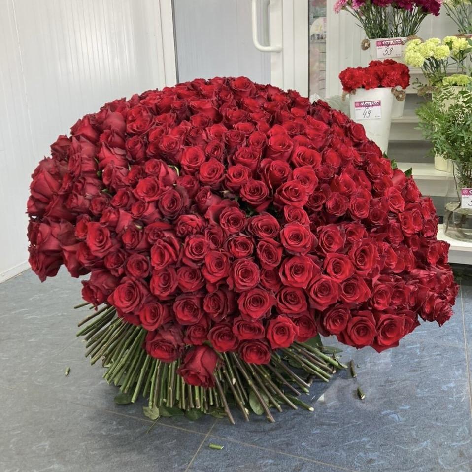 Букеты из красных роз 80 см (Эквадор) код товара: 36360