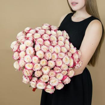 Розы красно-белые 75 шт 40 см (Эквадор) [артикул: 15990]