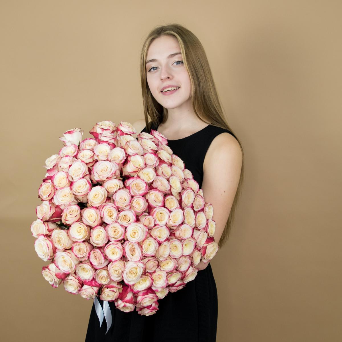 Розы красно-белые 101 шт. (40 см) [Артикул: 16020]