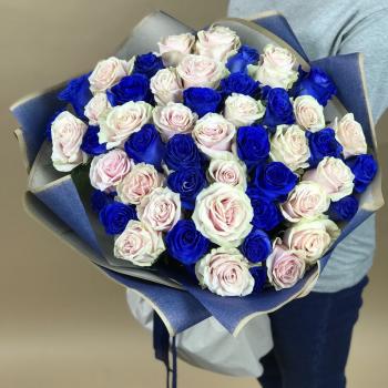 Белая и Синяя Роза 51шт 70см (Эквадор) (код   20580kstr)